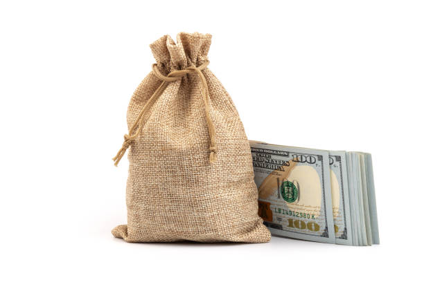 istock Money in the bag isolated on a white background 1330660201