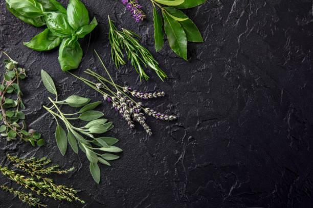 istock Fresh garden herbs, overhead flat lay shot on a black background with copy space 1330661458