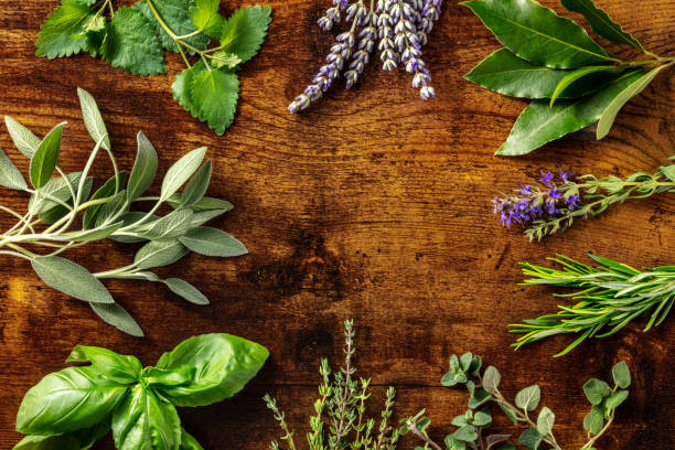 fresh garden herbs banner with copy space. an overhead flat lay shot - oregano herb garden herb gardens imagens e fotografias de stock