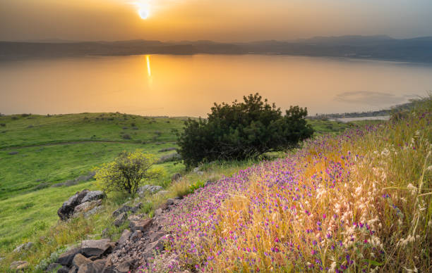 belo pôr do sol sobre o mar da galiléia, israel - lake tiberius - fotografias e filmes do acervo