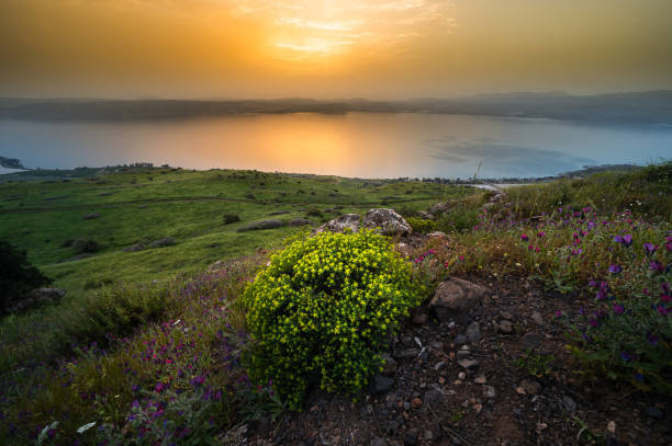 ガリラヤ海の美しい夕日、イスラエル - lake tiberius ストックフォトと画像