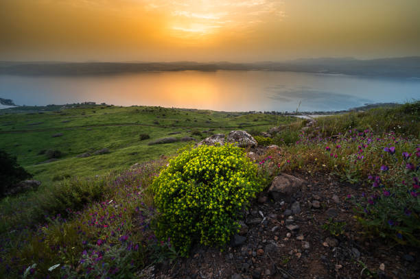 Beautiful sunset over the Sea of Galilee, Israel Peaceful orange sunset over the Sea of Galilee, with flower-covered hill slope in the foreground, and the city of Tiberias and surrounding hills, including the Arbel cliff in the background; Israel sea of galilee stock pictures, royalty-free photos & images