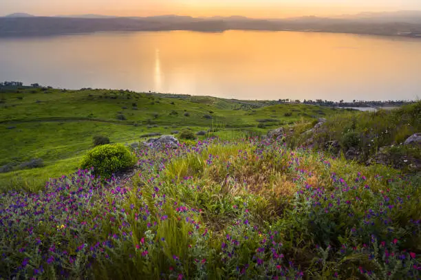 Photo of Beautiful sunset over the Sea of Galilee, Israel