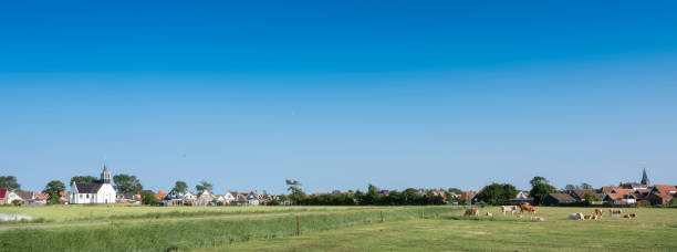 луговой пейзаж с коровами и деревней аудешильд на заднем плане на голландском острове тексел - oudeschild стоковые фото и изображения