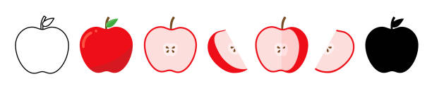 赤いリンゴ全体と熟したセット。アップルの半分とスライス。 - apple outline red vector点のイラスト素材／クリップアート素材／マンガ素材／アイコン素材