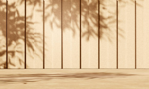 istock 3D beige concrete podium display with lights and plants shadows 1330664586