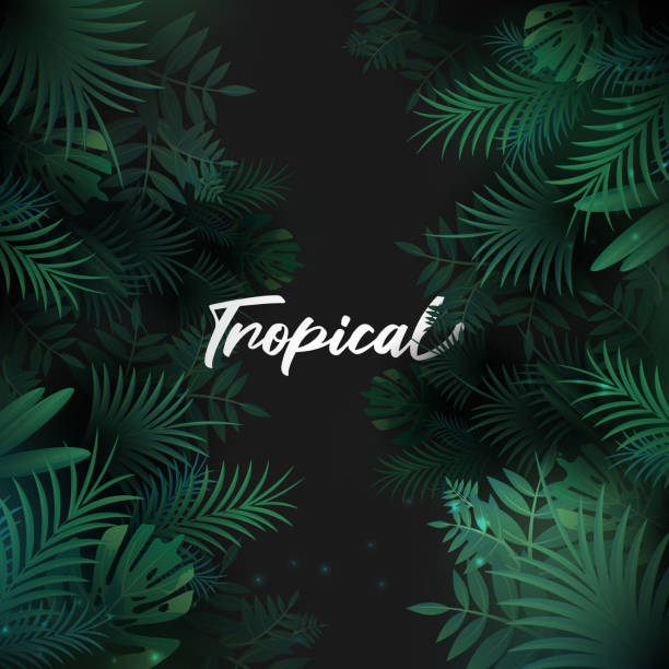 illustrazioni stock, clip art, cartoni animati e icone di tendenza di sfondo tropicale con foglie di palma - tropical rainforest forest green abstract