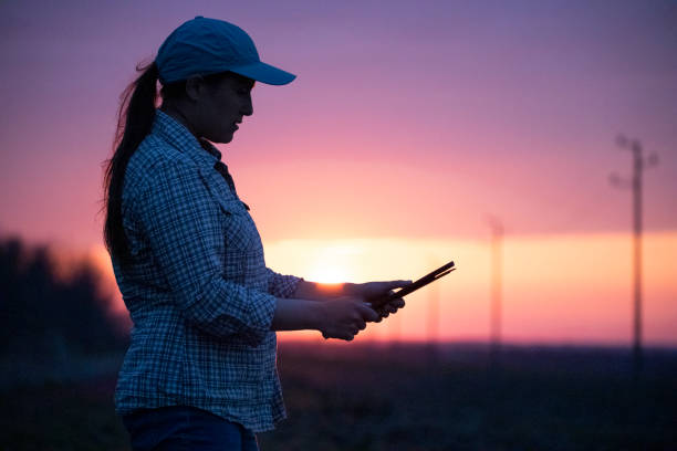 istock Electrical Energy at sunset. Engineer with tablet working on the field near Electrical Power station. 1330668549