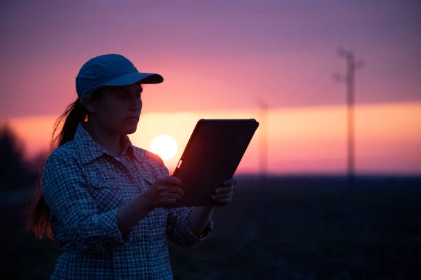 istock Electrical Energy at sunset. Engineer with tablet working on the field near Electrical Power station. 1330668550
