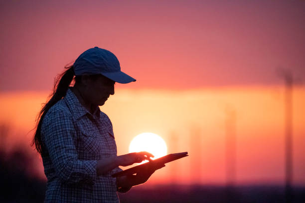 istock Electrical Energy at sunset. Engineer with tablet working on the field near Electrical Power station. 1330668551