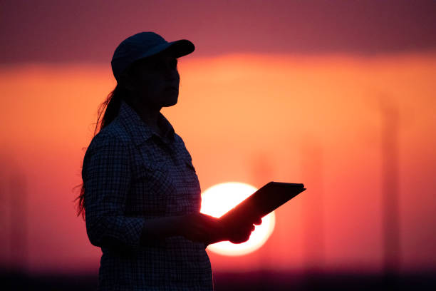 istock Electrical Energy at sunset. Engineer with tablet working on the field near Electrical Power station. 1330668552