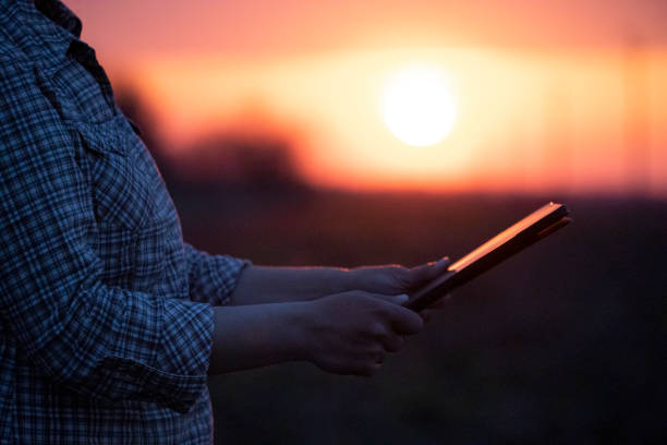 istock Electrical Energy at sunset. Engineer's hands with tablet working on the field near Electrical Power station. 1330668555