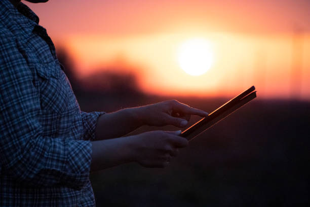 istock Electrical Energy at sunset. Engineer's hands with tablet working on the field near Electrical Power station. 1330668561