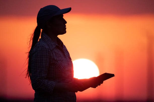 Farmer silhouette at sunset with tablet. Electric poles behind.