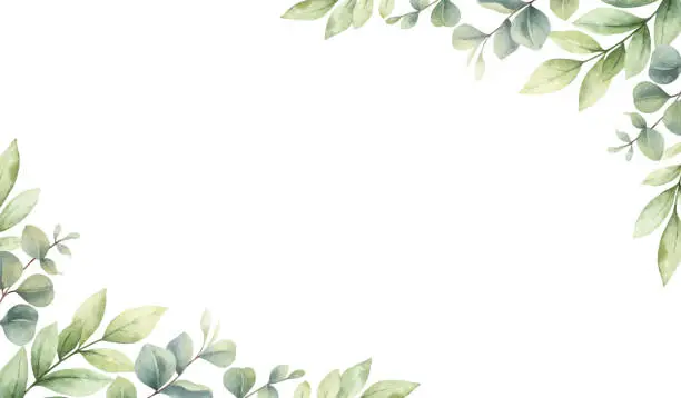 Vector illustration of Watercolor vector card of green branches and leaves isolated on a white background. Flower hand painted illustration for greeting cards, wedding invitations, banner with space for text and more.