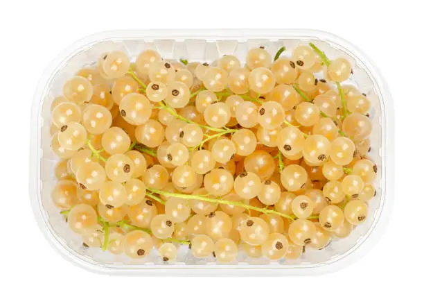 White currant berries, in a plastic container. Fresh ripe whitecurrant berries, spherical edible fruits of Ribes rubrum, a red currant cultivar. Sweet translucent fruits with yellow-white color. Photo