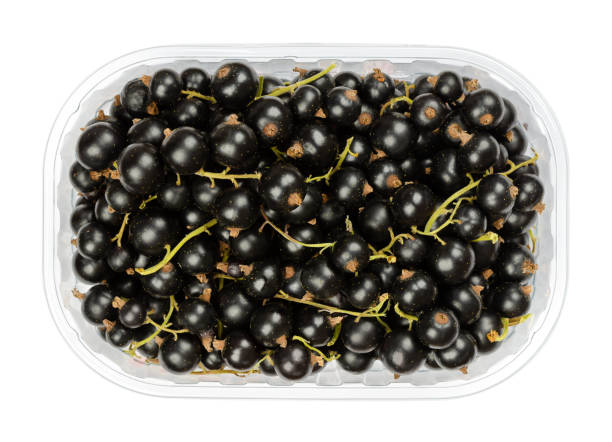 kuvapankkikuvat ja rojaltivapaat kuvat aiheesta mustaherukkamarjat, mustaherukkamarjat, kassit, muovilaatikossa - black currant