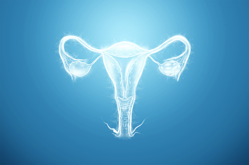 Holograma del órgano femenino del útero sobre un fondo azul. Concepto de ultrasonido, ginecología, obstetricia, ovulación, embarazo. Ilustración 3D, renderizado 3D. photo