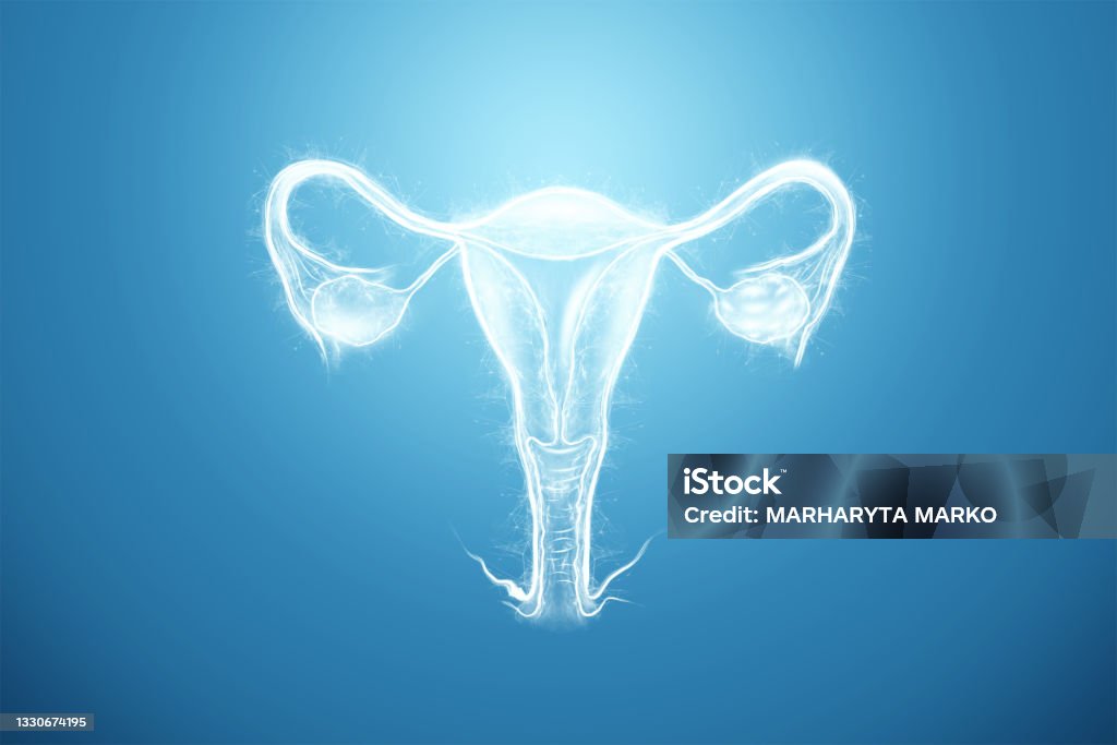 Hologram of the female organ of the uterus on a blue background. Ultrasound concept, gynecology, obstetrics, ovulation, pregnancy. 3D illustration, 3D render. Hologram of the female organ of the uterus on a blue background. Ultrasound concept, gynecology, obstetrics, ovulation, pregnancy. 3D illustration, 3D render Ovary Stock Photo