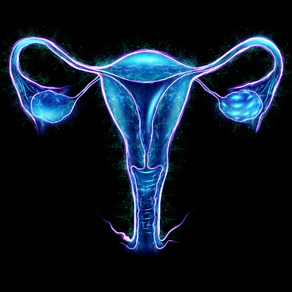 Hologram of the female organ of the uterus with different medical indications, ultrasound of the uterus. Ultrasound concept, gynecology, obstetrics, ovulation, pregnancy. 3D illustration, 3D render