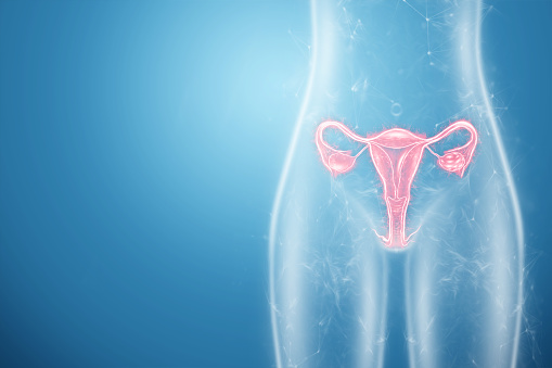Holograma del órgano femenino del útero, enfermedades del útero y los ovarios, dolor menstrual. Examen médico, consulta de mujeres, ginecología. Ilustración 3D, renderizado 3D. photo