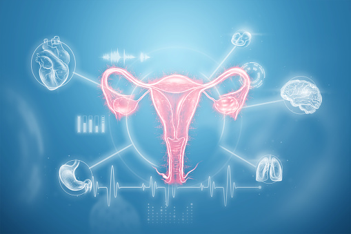 Hologram of the female organ of the uterus, diseases of the uterus and ovaries, menstrual pain. Medical examination, women's consultation, gynecology. 3D illustration, 3D render