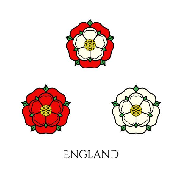 Tudoe rose of Englnd vector illustration. Tudor rose vector isolated icons set. Traditional heraldic emblem of England. The war of roses of houses Lancaster and York. york yorkshire stock illustrations