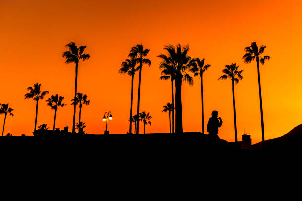 Beppu, Japan, October 6, 2017: Beautiful sunset and palm trees, colorful landscape in orange tones