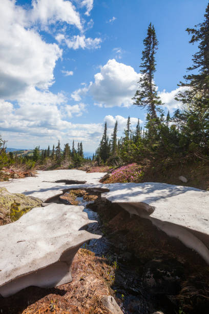 istock Stream in the Mountain Shoria. 1330677315