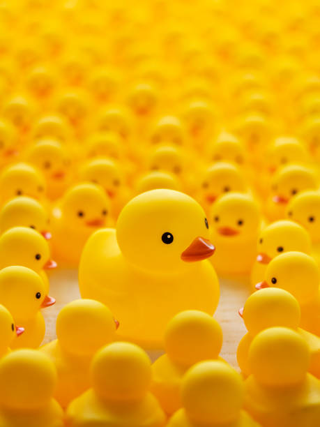 istock One large different yellow rubber duck standing out from the crowd, among a large group of yellow rubber ducks who are staring at the larger duck. 1330678817
