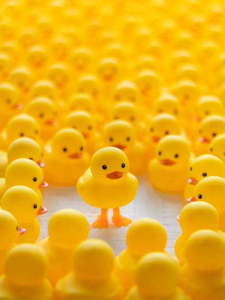 istock Yellow rubber duck standing on legs, standing out from the crowd, among a large group of sitting yellow rubber ducks who are staring at the standing duck. 1330678818