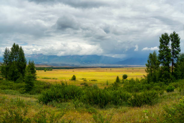 istock Bright summer steppe landscape. Steppe on the background of mountains. 1330679672