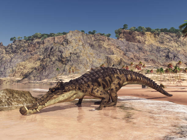 istock Prehistoric crocodile Kaprosuchus in a coastal landscape 1330681964
