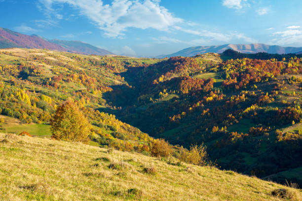 istock carpathian mountains countryside in evening light 1330682786