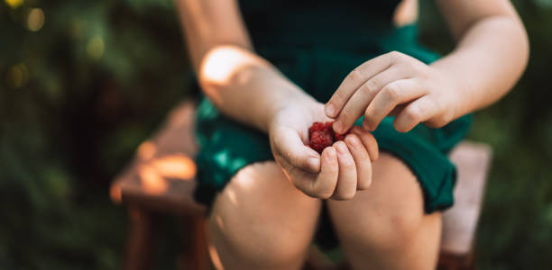 istock Child sitting on stepladder holds raspberries in his hands 1330683088