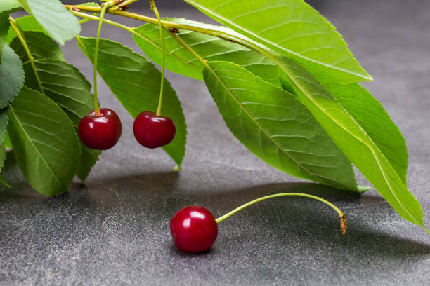 istock Cherry berry on table. Sprig of cherries with leaves. 1330683097