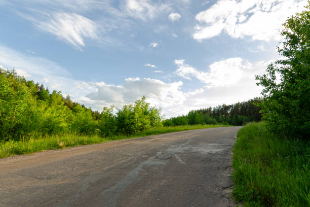 istock Automotive asphalt road in the summer evening forest. 1330683532