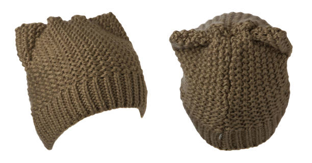 istock Women's knitted hat isolated on white background.brown hat 1330683560