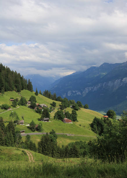플랑알프의 녹색 초원과 주택, 스위스 브리엔츠 위의 여름 정착지. - brienz meiringen landscapes nature 뉴스 사진 이미지