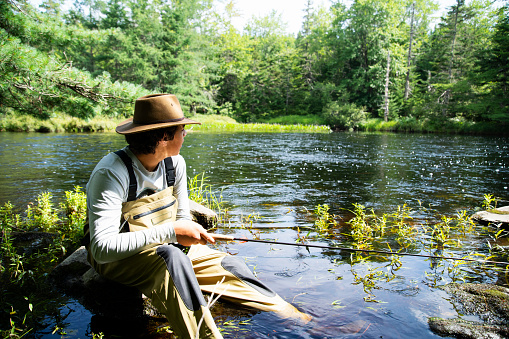 A trout fisherman out on a beautiful trout stream