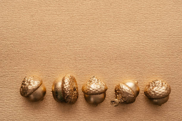 istock autumn background with golden acorns 1330690841