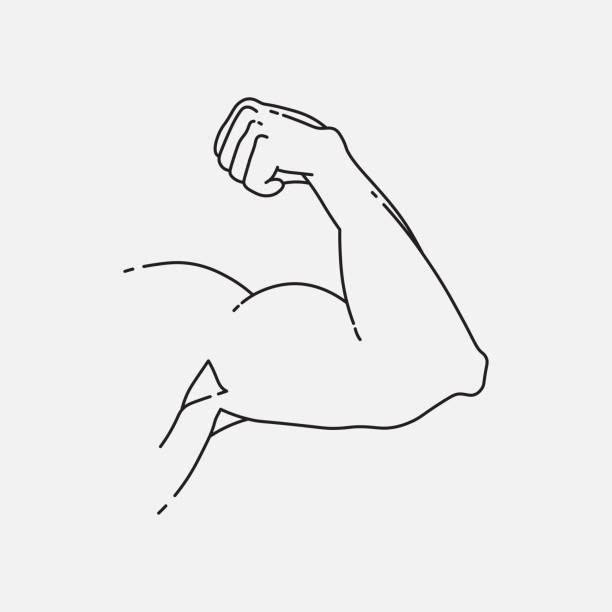 이두근, 최소한의 라인 디자인. 근육 질의 팔, 주먹을 움켜 쥐었다. - flexing muscles illustrations stock illustrations