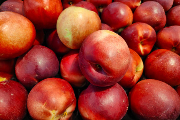 Stack of Nectarines Stack of Nectarines (Prunus persica var. Nucipersica) on a market stall. nectarine stock pictures, royalty-free photos & images