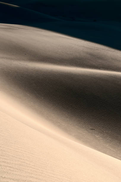 istock Light and shadow on the surface of a sand dune. 1330694364
