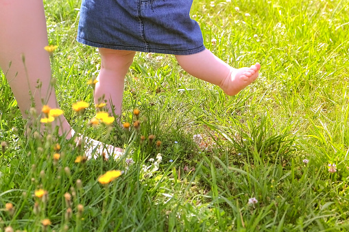 Mom learning baby daughter to walk, first steps in park at summer warm day, barefooted legs in grass closeup, side view, . Baby girl is trying to go making first steps holding mother's hands.