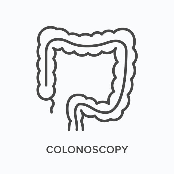 Colonoscopy flat line icon. Vector outline illustration of digestive system. Black thin linear pictogram for endoscope research Colonoscopy flat line icon. Vector outline illustration of digestive system. Black thin linear pictogram for endoscope research. colonoscopy stock illustrations