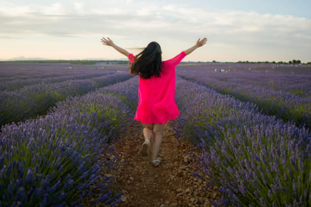 back portrait of young happy and beautiful woman in Summer dress enjoying nature running free and playful outdoors at purple lavender flowers field in romantic beauty concept stock photo