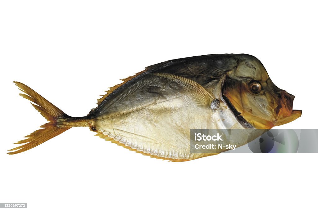 Dried salted vomer fish isolated on white background Sunfish Stock Photo