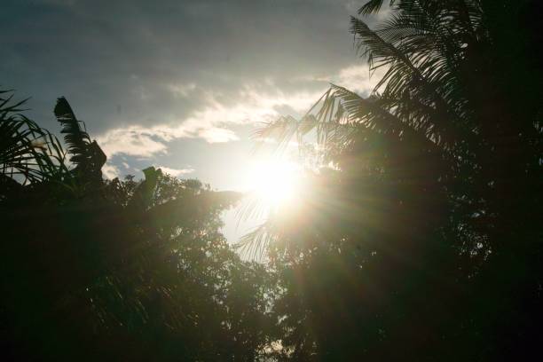 istock The sun is very hot this afternoon 1330698768