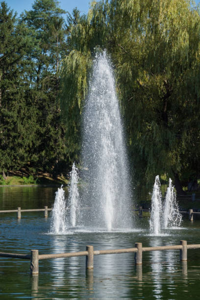 istock Fountain in a green city park in summer 1330699245